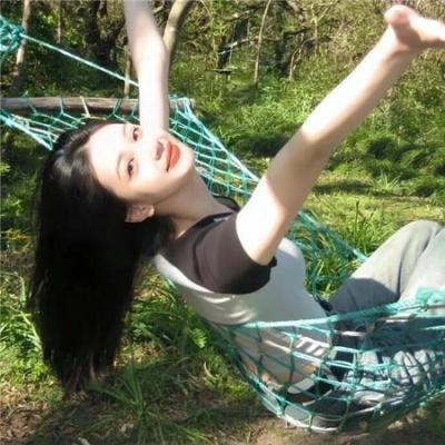 企鹅之岛：福克兰